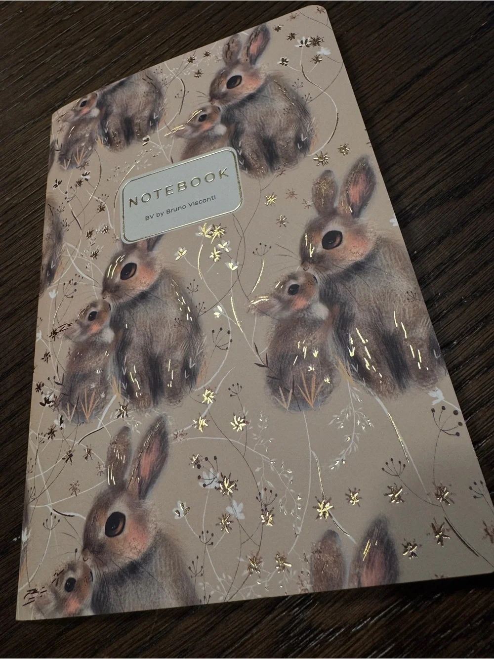 3 for $15 Bruno Visconti Soft Touch Baby Bunny and Mother Journal A5 NEW